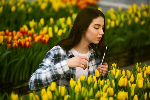 Chica Trabajadora Hermosa Joven Sonriente Con Tableta Trabajadora Con Flores —  Fotos de Stock