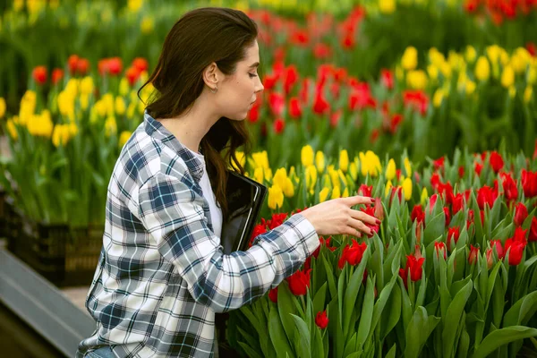 Chica Trabajadora Hermosa Joven Sonriente Con Tableta Trabajadora Con Flores —  Fotos de Stock