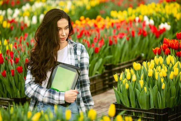 Girl worker, Beautiful young smiling girl with tablet, worker with flowers in greenhouse. Concept work in the greenhouse, flowers. Copy space  stock image