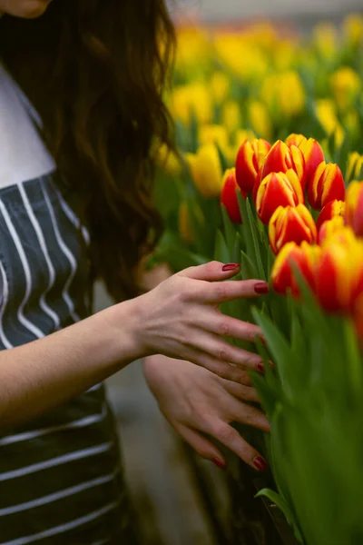 Chica Trabajadora Con Tulipanes Hermosa Joven Sonriente Trabajadora Con Flores —  Fotos de Stock