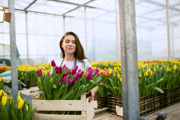 Girl worker with tulips,Beautiful young smiling girl, worker with flowers in greenhouse. Concept work in the greenhouse, flowers. Copy space  stock image