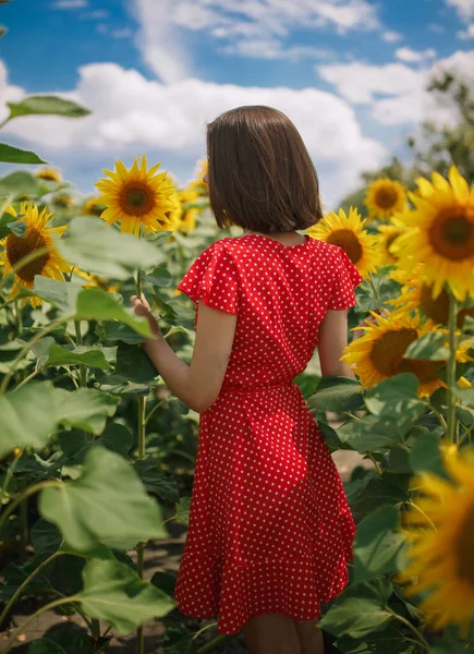 Joven Hermosa Chica Caucásica Vestido Rojo Puntos Blancos Estancia Campo —  Fotos de Stock