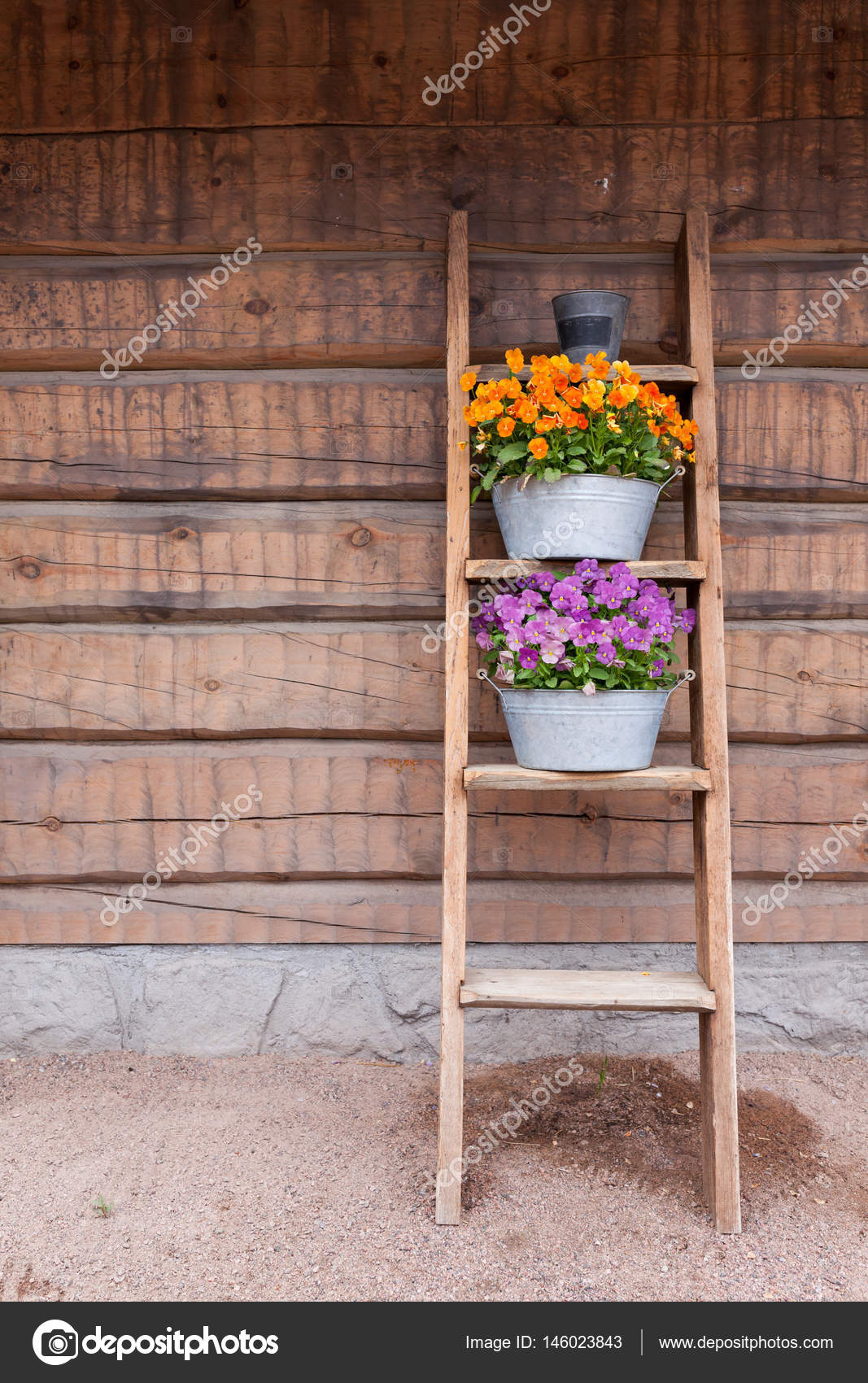Blumen Auf Leiter Regal An Wand Lehnen Stockfoto Juhku