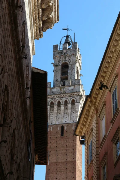 Siena, Toskana, İtalya — Stok fotoğraf