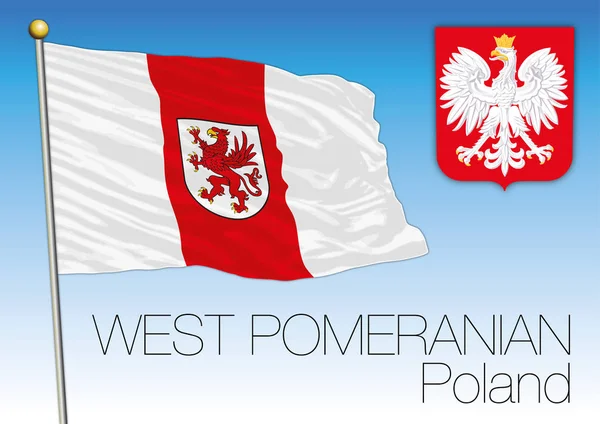 Pomerania Occidental bandera regional, Polonia — Vector de stock