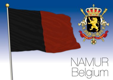 Namur bölgesel bayrak, Belçika