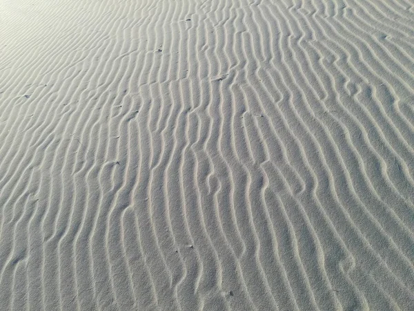 Kum plaj rüzgar tarafından çizilmiş — Stok fotoğraf