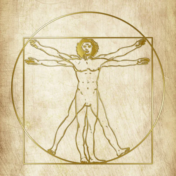 Vitruvius-tanulmány, Leonardo Da Vinci, grafikai kidolgozása — Stock Fotó