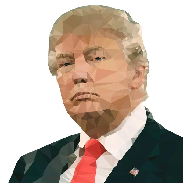 Washington, Amerikai Egyesült Államok, év 2017-ig, Donald Trump, Us elnök, illusztráció és grafikai portré kidolgozása — Stock Vector