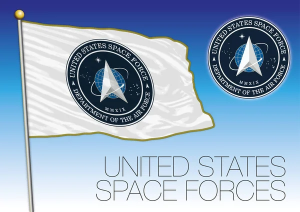 Usa Space Force Flagga Och Sigill Usa Vektor Illustration — Stock vektor