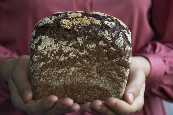 Dark bread in the hands. Close-up. — Stock Photo, Image