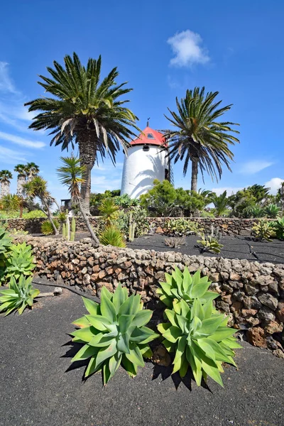 Spanisches Windrad auf Lanzarote — Stockfoto