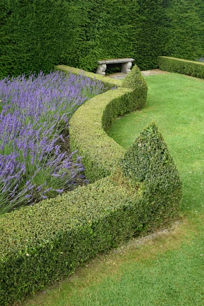 Όμορφο κήπο Αγγλικά topiary. — Φωτογραφία Αρχείου
