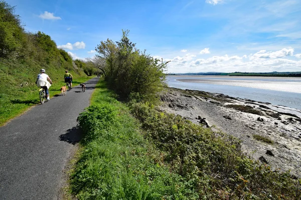 Cycling with the dogs — Stock Photo, Image