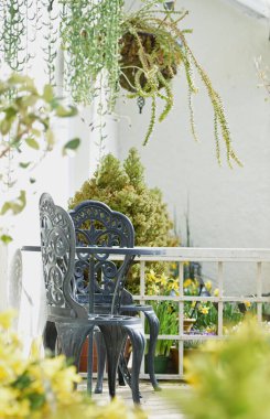 İngiltere, Kuzey Devon 'daki Rosemoor' daki bir İngiliz kır bahçesine bakan bir verandada süslü bahçe sandalyeleri..