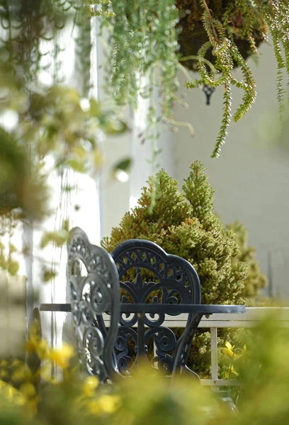 Ένα Ζευγάρι Σιδερένιες Καρέκλες Κήπου Ένα Μυστικό Αίθριο Θέα Έναν — Φωτογραφία Αρχείου