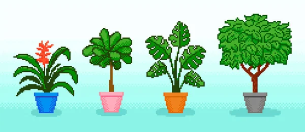 Pixel Diverses Plantes Pot Avec Des Feuilles Sur Fond Bleu — Image vectorielle