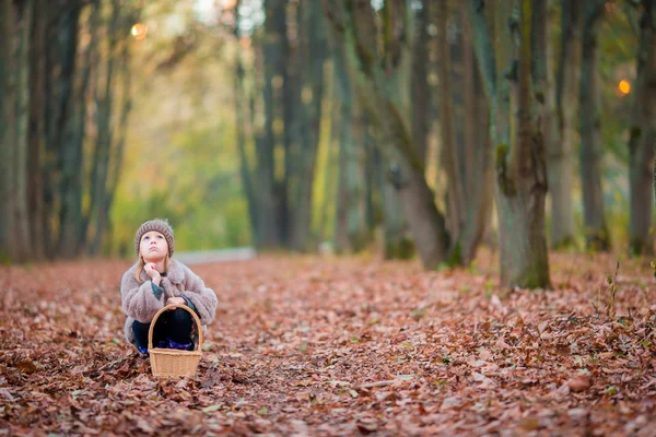 Adorabile bambina con un cesto in autunno giorno all'aperto nella bellissima foresta — Foto Stock