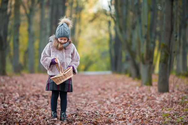 Cute little girl with a basket in autumn day outdoors in beautiful forest — Stock Photo, Image
