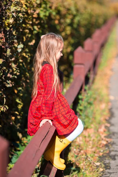 美しい秋の日に屋外で愛らしい女の子の肖像画 — ストック写真