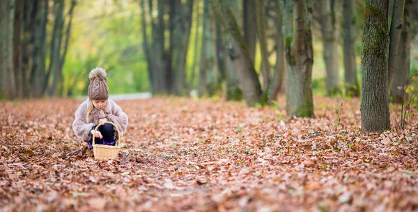 Bedårande liten flicka med en korg i höstdag ute i vacker skog — Stockfoto