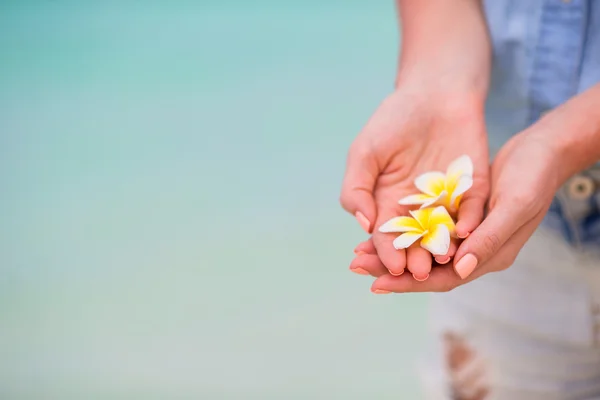 Цветы франжипани в женских руках на фоне бирюзового моря на белом пляже — стоковое фото