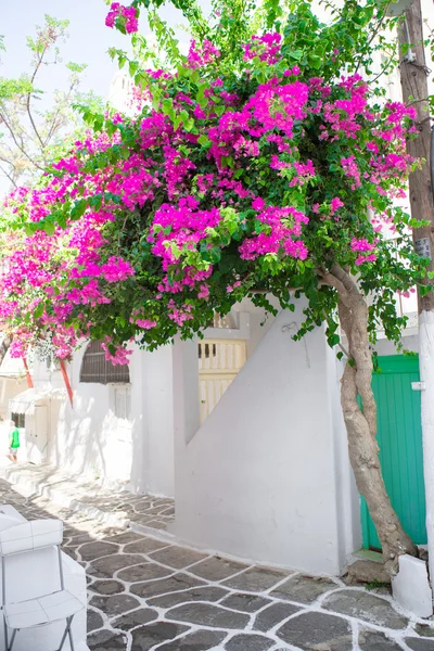 Úzké uličky s modrým balkony, schody, bílé domy a květin v krásné vesnici v Řecku. Krásnou architekturou v exteriéru s kykládském stylu v Mykonosu — Stock fotografie