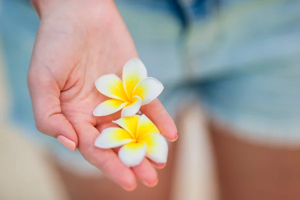 Krásné keře květiny v ženské ruce pozadí tyrkysové moře na pláži s bílým — Stock fotografie
