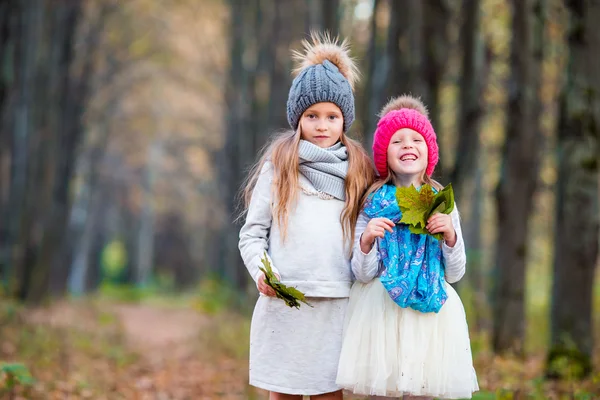 Two adorable girls in forest at warm sunny autumn day — Stock Photo, Image