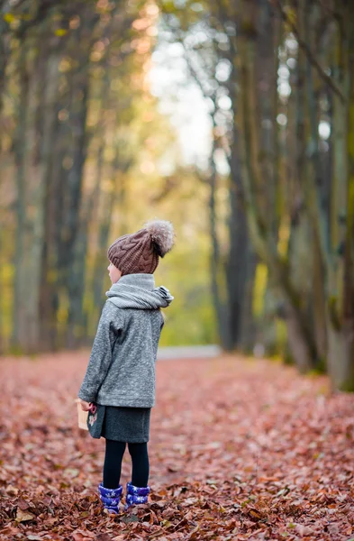 Adorable niña con hojas de colores en hermoso día de otoño Fotos de stock libres de derechos