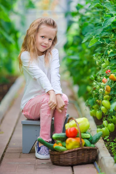 Little girl collecting crop cucumbers and tomatos in greenhouse. Time to harvest. — Stock Photo, Image