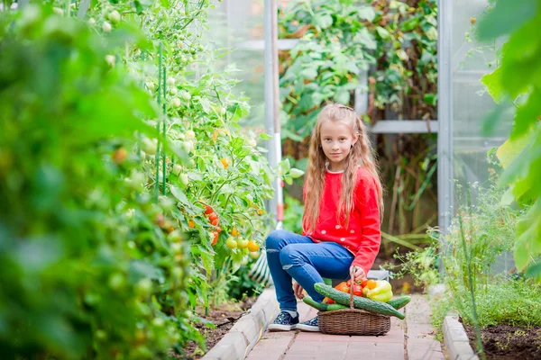 Little girl in greenhouse with basket full of harvest. Time to harvest. Big basket full of vegetables — Stock Photo, Image