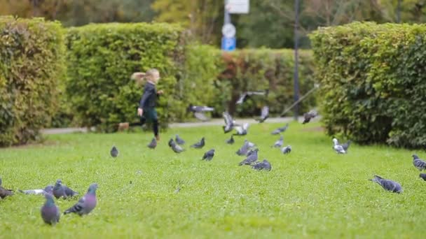 Маленька чарівна дівчинка переслідує голубів на траві в теплий осінній день — стокове відео