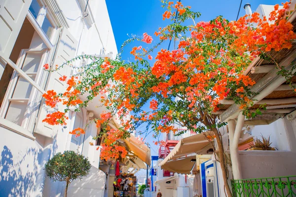 The narrow streets with blue balconies, stairs, white houses and flowers in beautiful village in Greece. Beautiful architecture building exterior with cycladic style in Mykonos — Stock Photo, Image