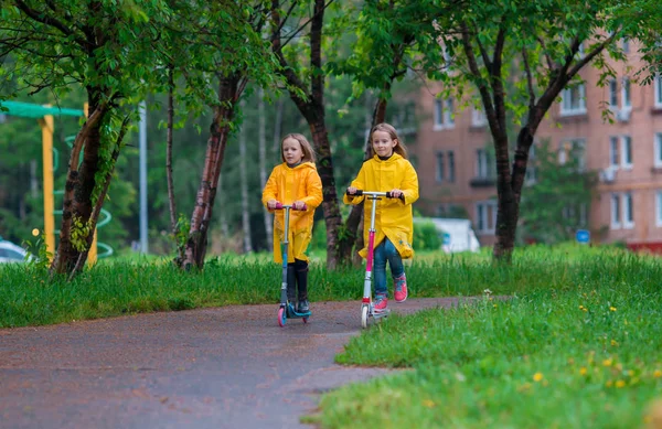 Маленькие очаровательные девочки катаются на скутерах в осеннем парке на открытом воздухе — стоковое фото