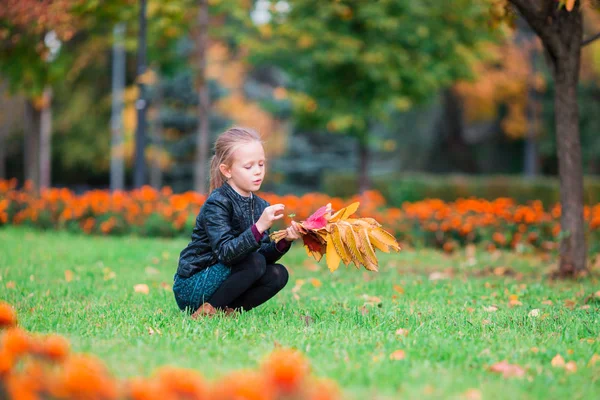 Petite fille avec bouquet de feuilles jaunes à l'extérieur à la belle journée d'automne en automne — Photo