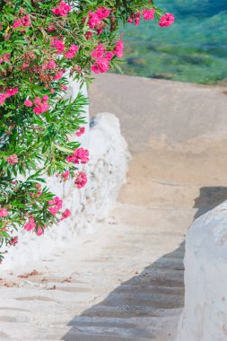 Beyaz duvarları ve Yunanistan'da Mykonos Adası Deniz Manzaralı renkli kapı ile tipik Yunan geleneksel köy