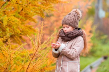 Güzel kız arka plan sarı yaprak sonbaharda portresi