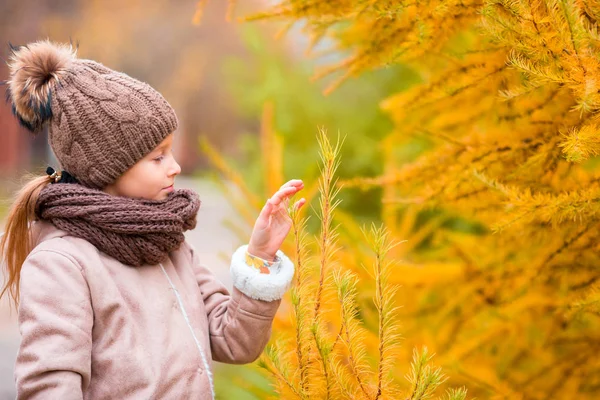 Portrait de beau fond de fille feuille jaune à l'automne — Photo