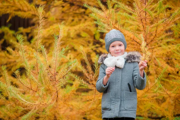 Retrato de hermosa niña fondo abeto amarillo en otoño —  Fotos de Stock