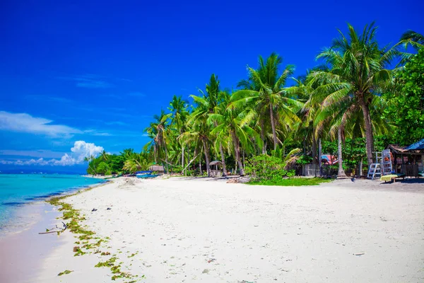 Bella spiaggia tropicale con palme, sabbia bianca, acqua turchese dell'oceano e cielo blu — Foto Stock