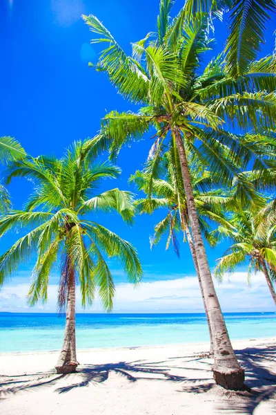 Beautiful tropical beach with palm trees, white sand, turquoise ocean water and blue sky — Stock Photo, Image