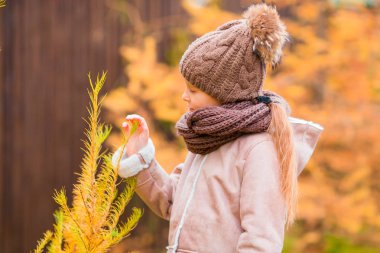 Güzel kız arka plan sarı yaprak sonbaharda portresi