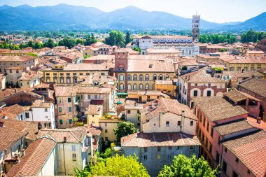 Lucca, İtalya için kırmızı çatılar ile eski binanın güzel manzara