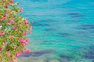 Mykonos island, Yunanistan Deniz Manzaralı güzel manzara
