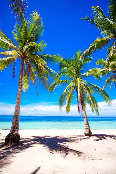 Praia tropical bonita com palmeiras, areia branca, água azul-turquesa do oceano e céu azul — Fotografia de Stock