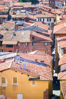 Leyleklerin arka plan Dağları Lucca, İtalya ile eski eski binaların güzel manzara