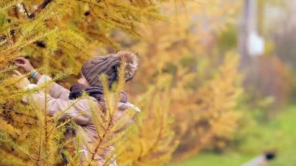 Adorable niña en el cálido día de primavera al aire libre — Vídeo de stock