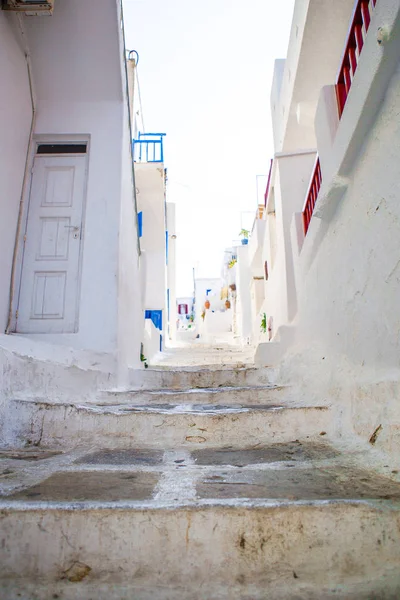 Les rues étroites de l'île grecque avec chat. Beau bâtiment d'architecture extérieur de style cycladique . — Photo
