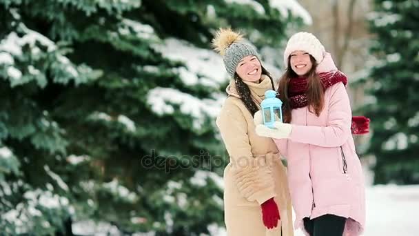Δύο γυναίκες σε εξωτερικούς χώρους σε όμορφο χειμώνα ημέρα του χιονιού — Αρχείο Βίντεο